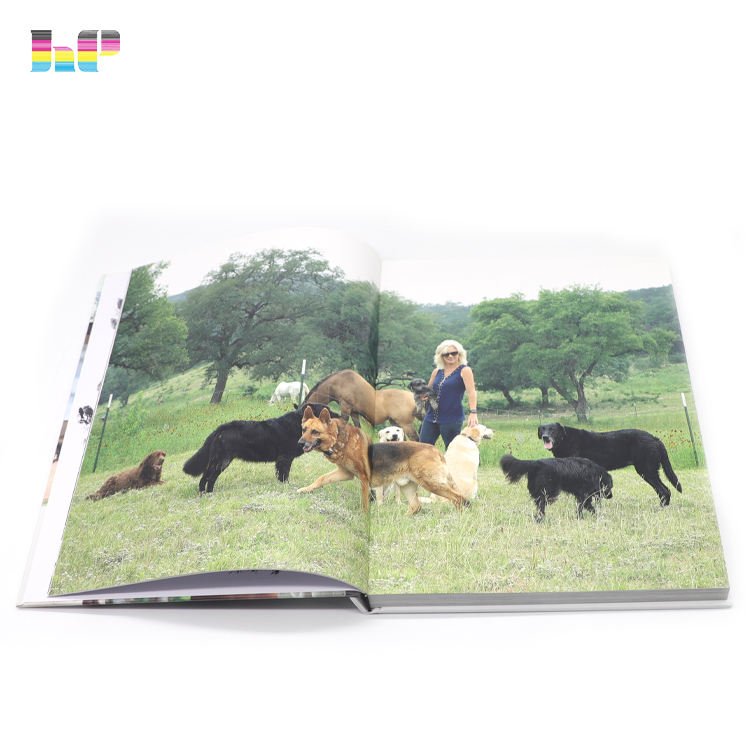 Publishing Children Story Book Printing Factory - Image 6