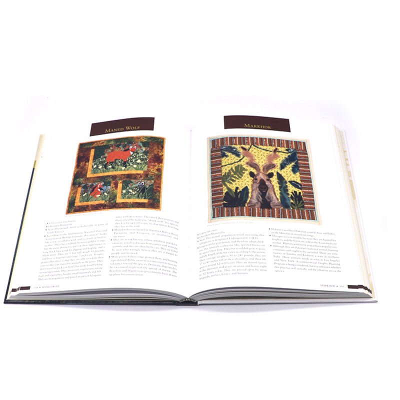 Publishing Children Story Book Printing Factory